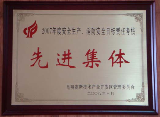 2007年度高新區(qū)安全生產(chǎn)、消防安全目標考核先進集體