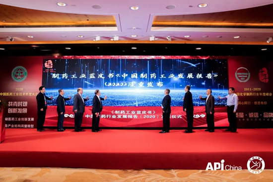 盤點積大2020